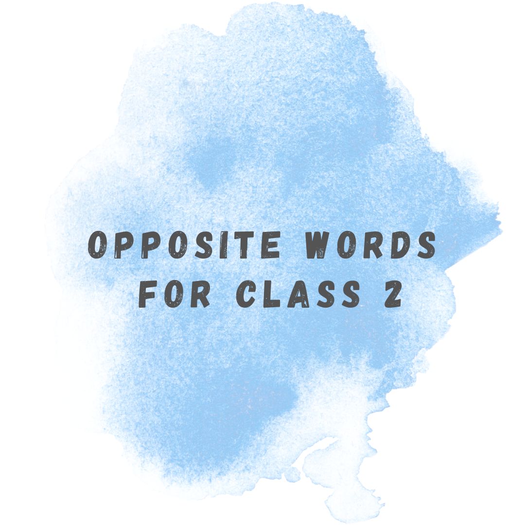 Opposite words in English for Class 2
