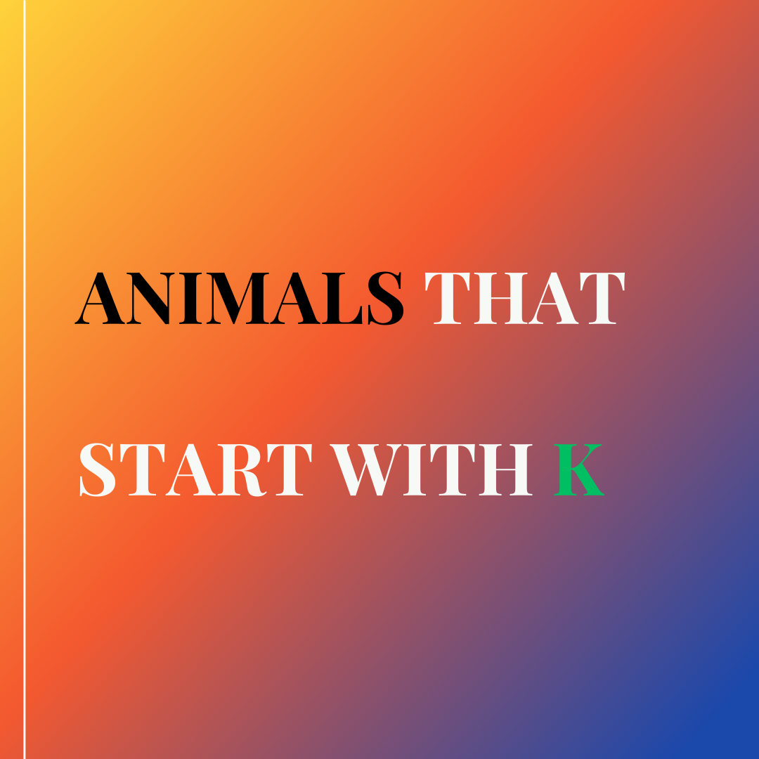 Animals That Start with K