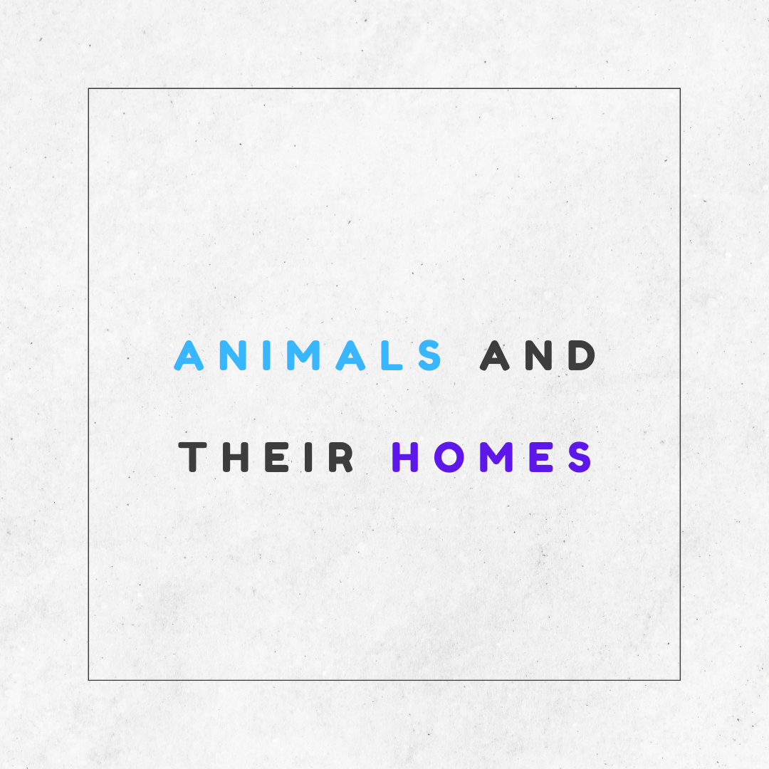 Animals and Their Homes