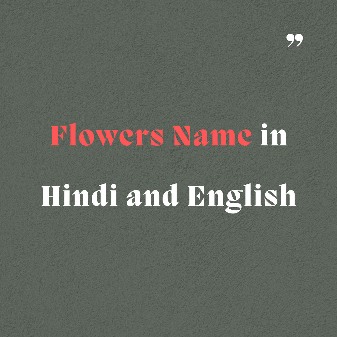 10 flowers name hindi english with meaning